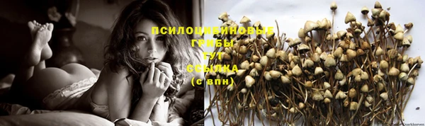 гашик Баксан