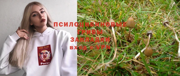 гашик Баксан